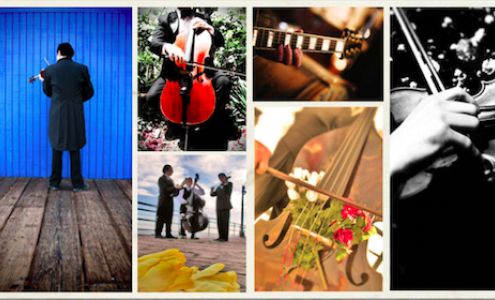 The Black Tree School