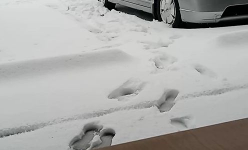 Lincoln Park Laundromat