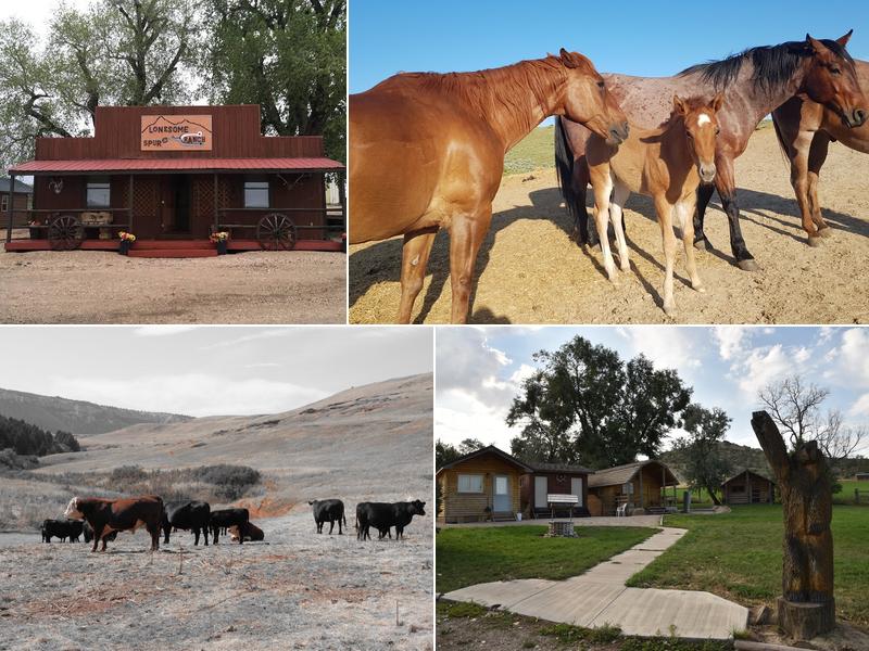 Lonesome Spur Guest Ranch