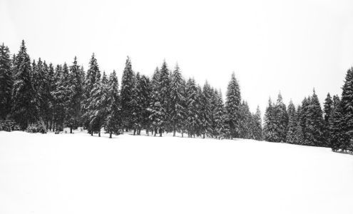 Whispering Pine Cabins Ruidoso