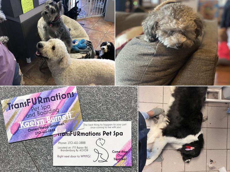 TransFURmations Pet Spa & Boarding