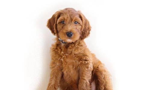 Sunshine Acres 7450 W 200 N, Wolcott Indiana 47995