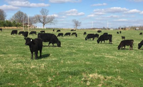 JNJ Farms Mammoth Spring