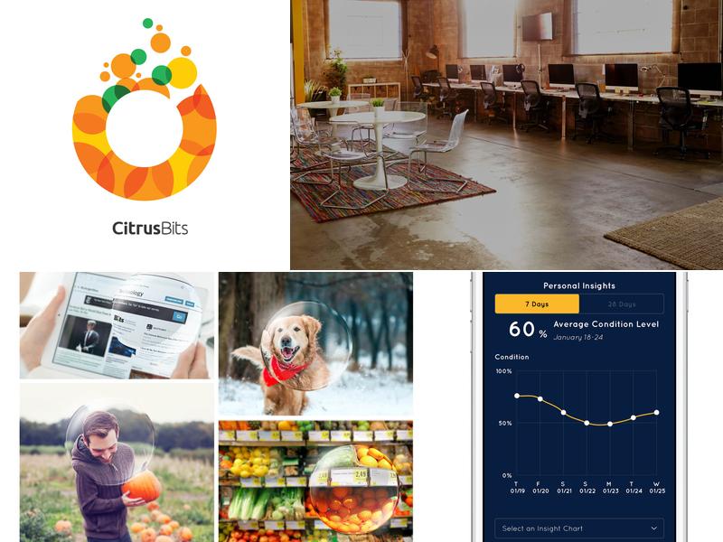 CitrusBits - Mobile App Developer Bay Area