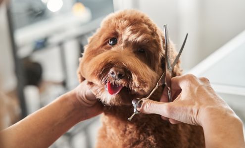 Coats & Tails Grooming 1001 S Oak St, California Missouri 65018