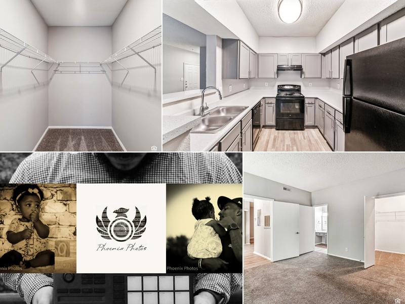 Phoenix Photos