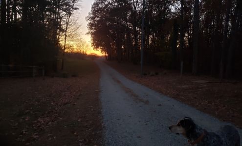 Old Crowe Farm Red Oak