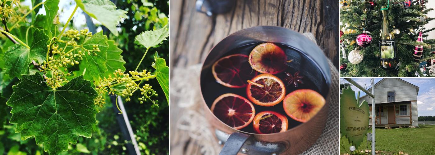 Three Sisters of Shiney Rock Winery