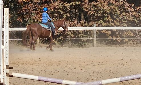 Cranberry Acres Equestrian Center 12500 Five Forks Rd, Amelia Court House Virginia 23002