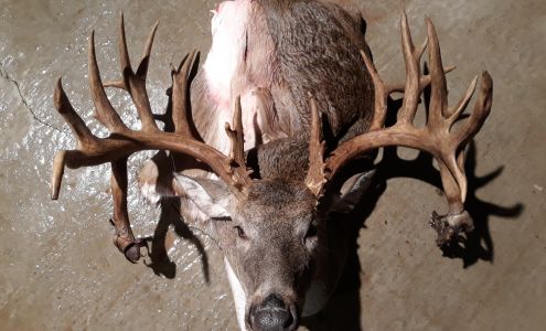 Brown's Deer Processing Holdenville