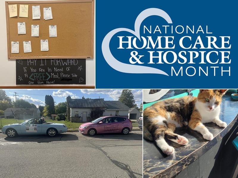 Home Health Angels Cat Lounge