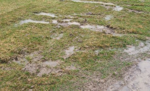 F J Krob & Co Elevator Walker