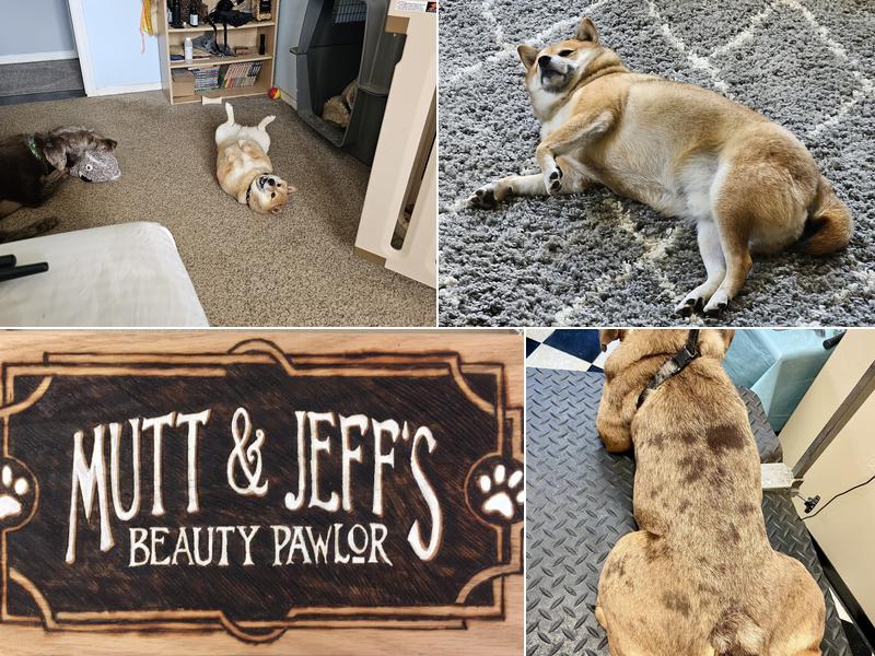 Mutt & Jeff's Beauty Pawlor