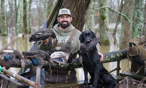 Old Dixie Kennels - The Timber Show LLC 7931 AL-67 S, Somerville Alabama 35670