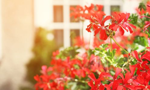 Equity National Title