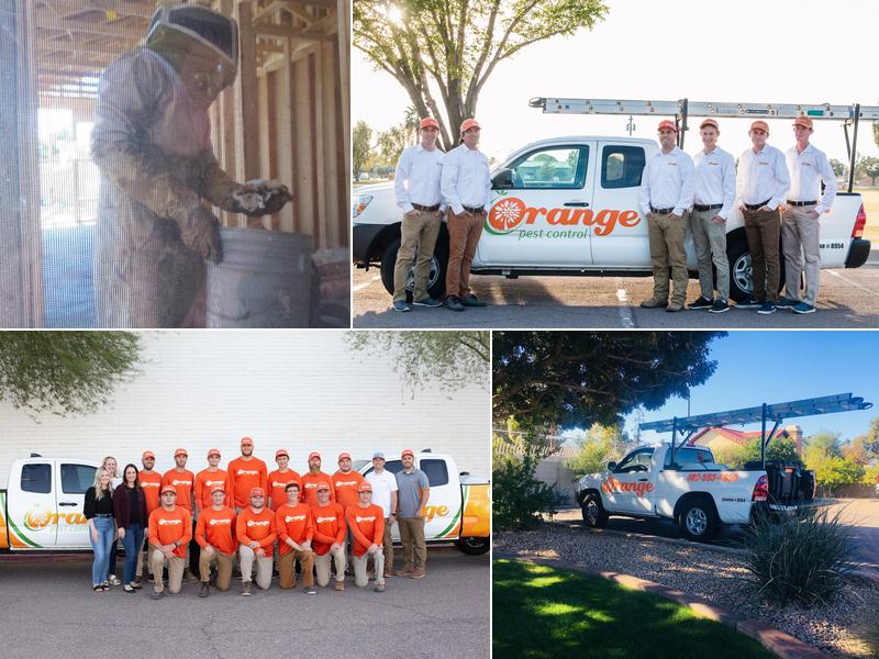 Orange Pest Control