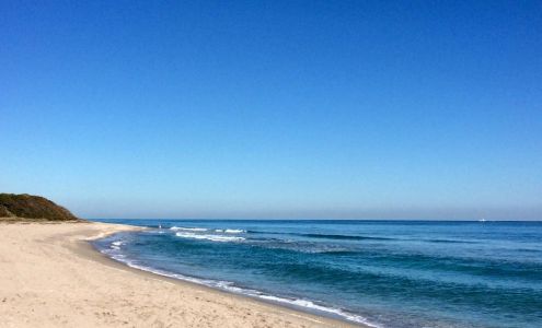 John D. MacArthur Beach State Park North Palm Beach