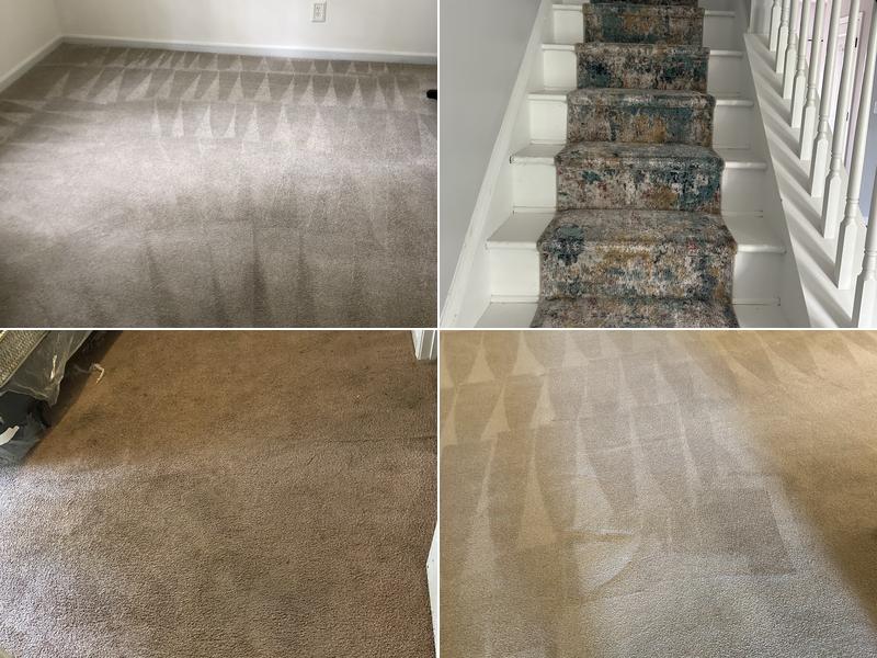 Clean Floors Carpet Cleaning