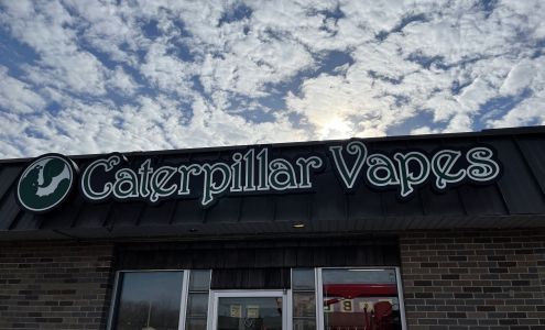 Caterpillar Vapes