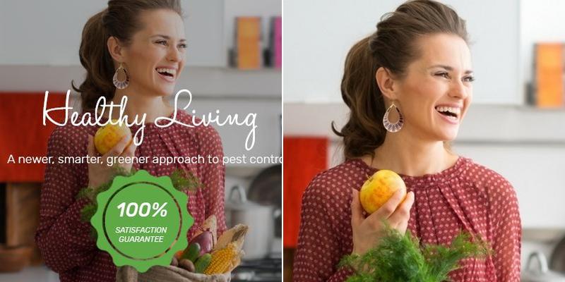 Green Army Home Services Austin