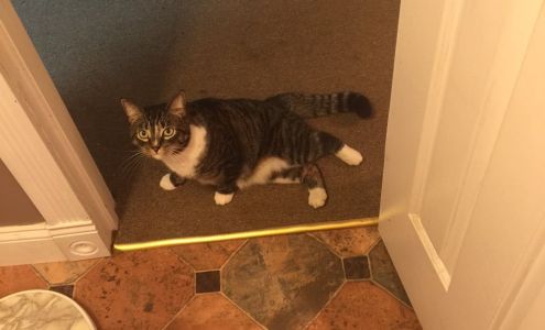 Awest Clean Air Systems