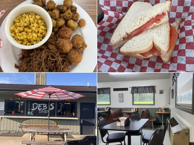 Deb's Diner 189 Catawba River Rd, Old Fort