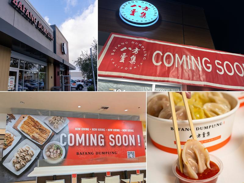 Bafang dumpling