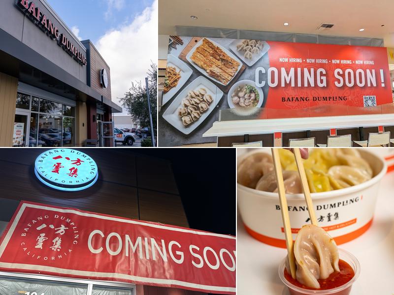 Bafang dumpling