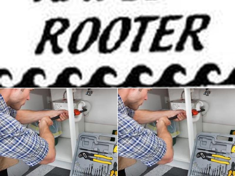 Rapid Rooter