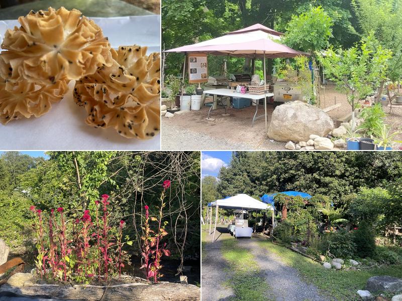 S&C Food Cart Cold Spring