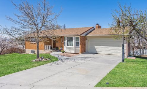 Matt Hawkes Real Estate