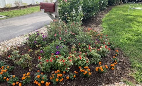 Lee County Landscaping 1233 Masanabo Ln, Fort Myers Florida 33919