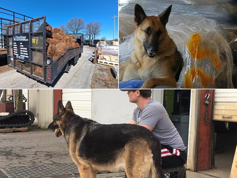 A J's Lawn Maintenance