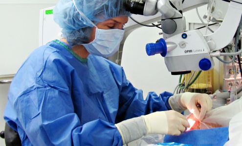 Dr. Carol A. Johnston, MD