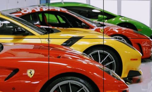 Explore Daily Exotics