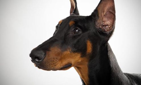 Qteez Custom Screen Printing & Embroidery