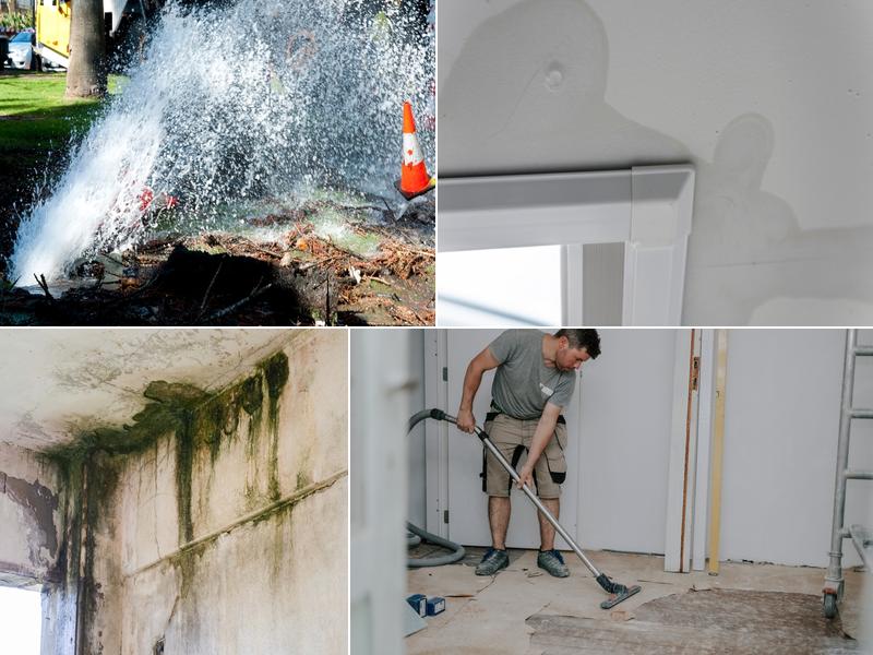 Ducktown Water Damage Solutions