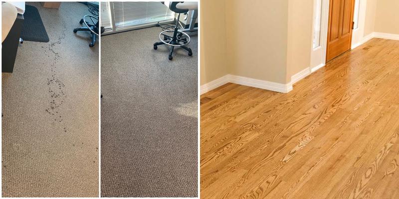 Sparkling Carpets Cleaning