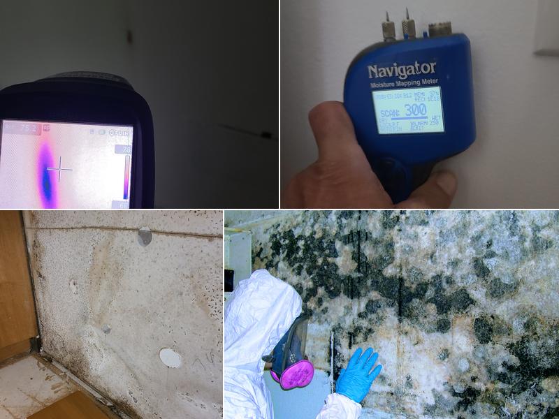 Dry-Pro restoration services,LLC