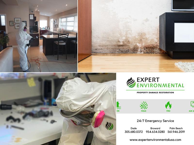 Expert Environmental FL