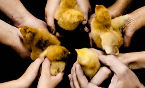 Long Hill Montessori School Stirling