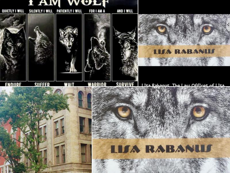The Law Offices of Lisa Rabanus
