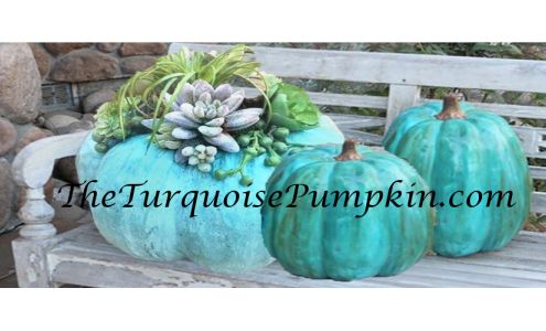 The Turquoise Pumpkin Wichita Falls