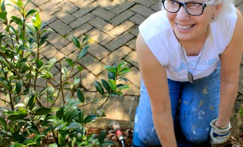 Charleston Parks Conservancy