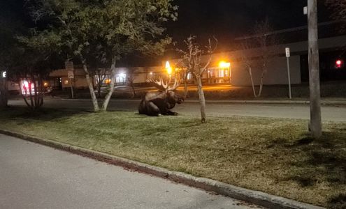 Alaska Medical Solutions