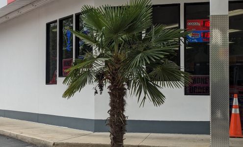 Hooter Ray Spirits Marion