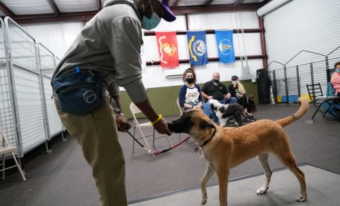Semper Amici Canine Training