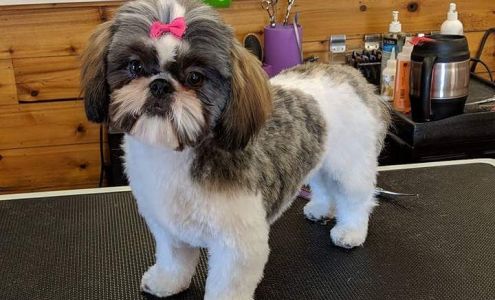 Kasey's Country Cuts 300 Main St N, Minnesota Lake Minnesota 56068