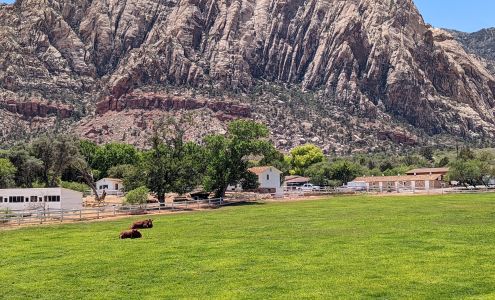 Spring Mountain Ranch State Park Blue Diamond
