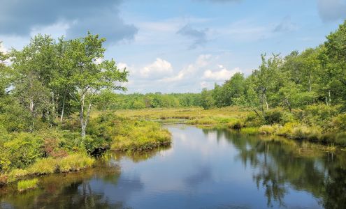 Tobyhanna State Park Tobyhanna